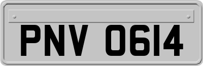 PNV0614