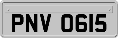 PNV0615