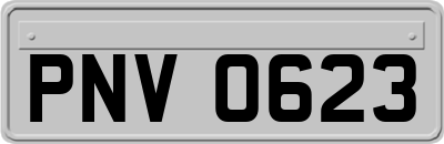 PNV0623