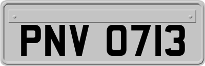 PNV0713
