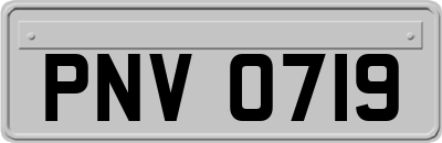 PNV0719