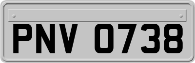PNV0738