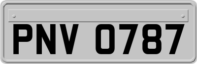 PNV0787
