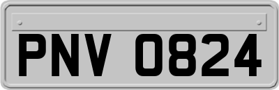 PNV0824