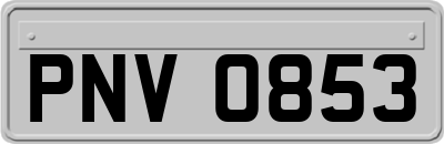 PNV0853