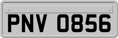 PNV0856