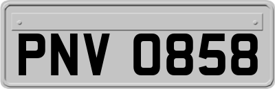 PNV0858