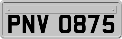 PNV0875