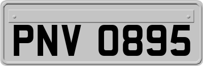 PNV0895