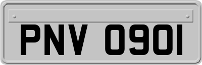 PNV0901