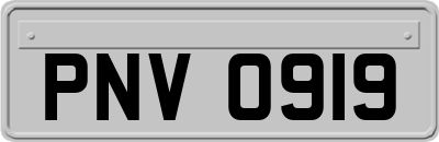 PNV0919