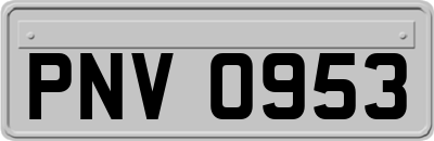 PNV0953