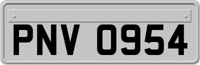 PNV0954