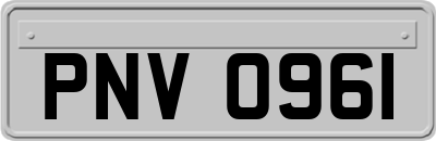 PNV0961