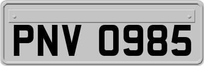 PNV0985