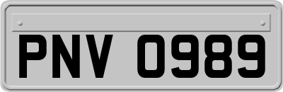 PNV0989