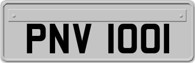 PNV1001