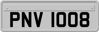 PNV1008