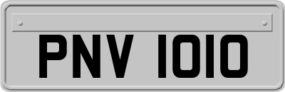 PNV1010