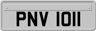 PNV1011