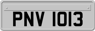 PNV1013