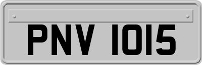 PNV1015
