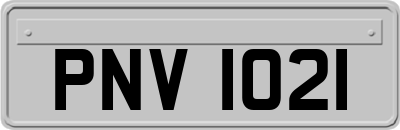 PNV1021