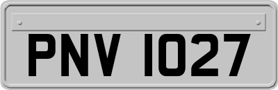 PNV1027