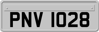 PNV1028