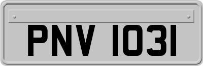 PNV1031