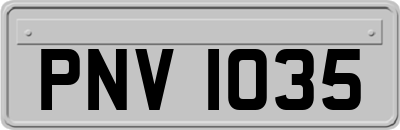 PNV1035