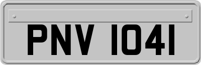 PNV1041