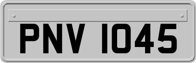 PNV1045