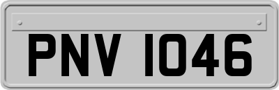 PNV1046