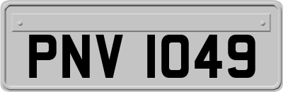PNV1049