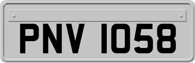 PNV1058