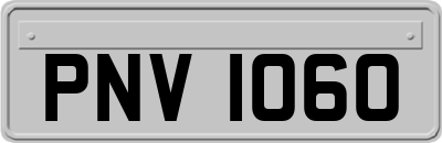 PNV1060