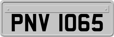 PNV1065