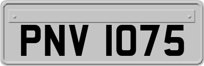 PNV1075