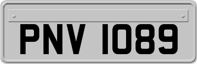 PNV1089