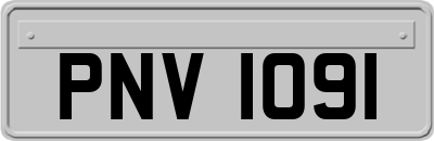 PNV1091