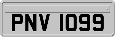 PNV1099