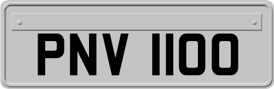 PNV1100