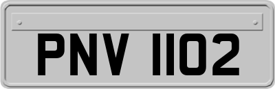 PNV1102