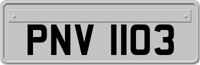 PNV1103