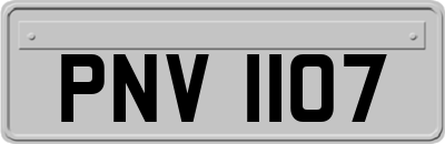 PNV1107
