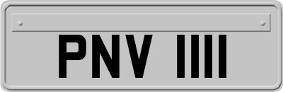 PNV1111