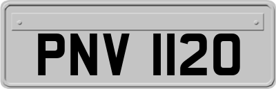 PNV1120