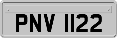 PNV1122