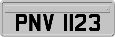 PNV1123